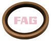 FAG 413 0153 10 Shaft Seal, wheel bearing